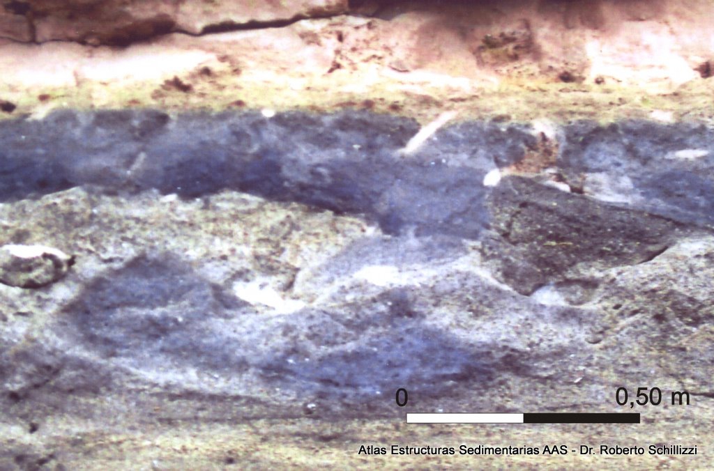 Estructura en plato - Fotografía: Roberto Schillizi y Liliana Luna |  Fm. Río Negro (Mioceno medio-Plioceno inferior).  Río Negro (acantilados) (ver Schillizi et al. 2008)