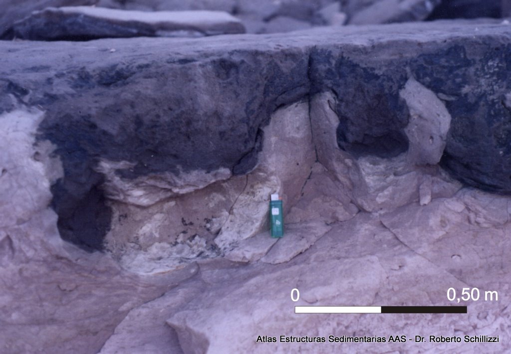 Deformación por carga y pseudonódulo adherido - Fotografía: Roberto Schillizi y Liliana Luna | Fm. Río Negro (Mioceno medio-Plioceno inferior). Río Negro (acantilados) (ver Schillizi et al. 2008)